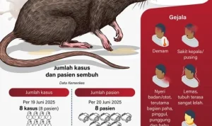 Hantavirus: Gejala, Penyebab, dan Risiko Penularannya di Indonesia