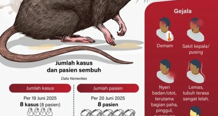 Hantavirus: Mengenal Gejala, Penyebab, dan Cara Pencegahan