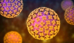 Hantavirus: Penyebab, Gejala, dan Fakta Wabah di Kapal Pesiar MV Hondius