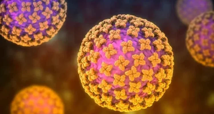 Hantavirus: Penyebab, Gejala, dan Fakta Wabah di Kapal Pesiar MV Hondius