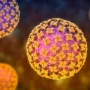 Hantavirus: Penyebab, Gejala, dan Fakta Wabah di Kapal Pesiar MV Hondius