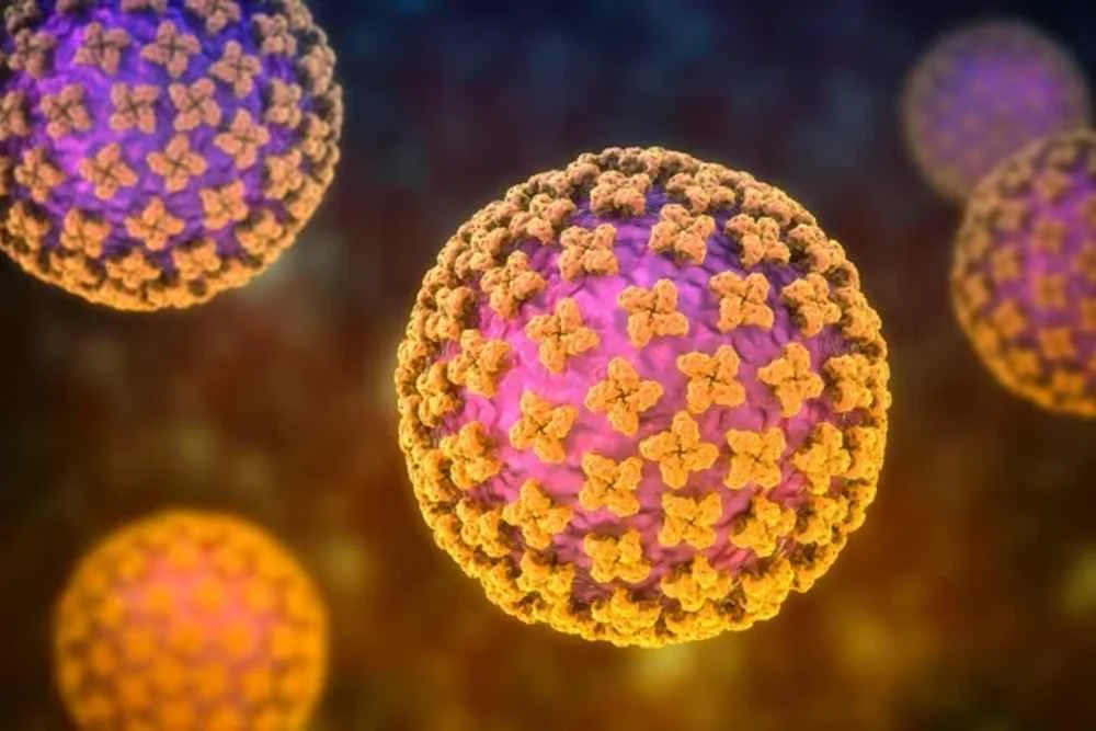 Hantavirus: Penyebab, Gejala, dan Fakta Wabah di Kapal Pesiar MV Hondius
