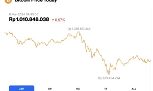 Harga Bitcoin Melorot, Apa yang Menyebabkan Penurunan Ini?