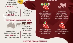 Harga Daging Sapi Meningkat, Ini yang Terjadi di Dunia