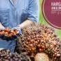 Harga Sawit Anjlok, Petani Merintih: Tahun Ajaran Baru Semakin Berat