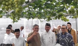 IPB University Tawarkan Beasiswa S2 untuk Jurnalis