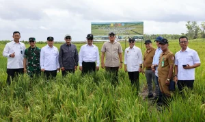 Jhonlin Group Dukung Kedaulatan Pangan Indonesia Melalui Proyek Strategis Nasional Wanam