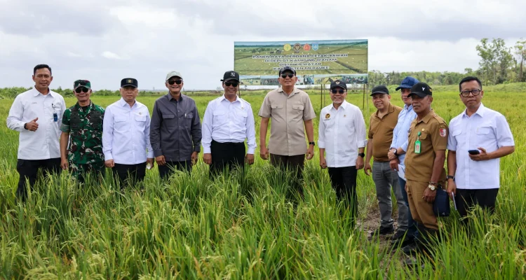 Jhonlin Group Dukung Kedaulatan Pangan Indonesia Melalui Proyek Strategis Nasional Wanam