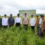 Jhonlin Group Dukung Kedaulatan Pangan Indonesia Melalui Proyek Strategis Nasional Wanam