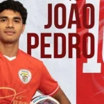 João Pedro: Dari Politik Hingga Sepak Bola, Berita Terkini tentang Tokoh Muda Ini