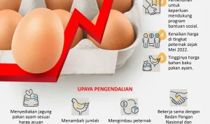 Kabar Terbaru Ekonomi Indonesia: IHSG Merosot, Kerja Sama Strategis, dan Harga Telur yang Terlalu Murah