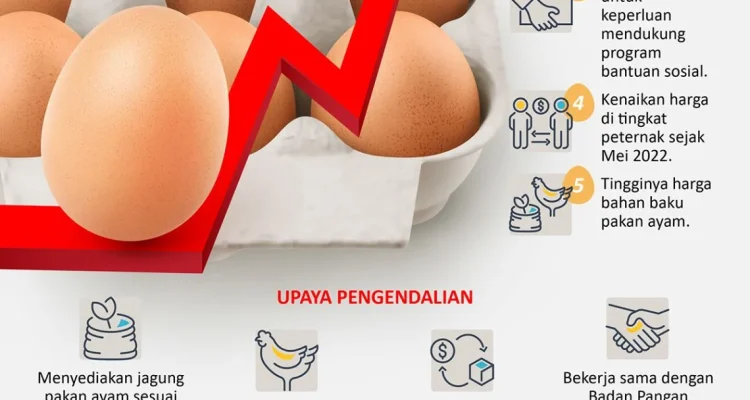 Kabar Terbaru Ekonomi Indonesia: IHSG Merosot, Kerja Sama Strategis, dan Harga Telur yang Terlalu Murah