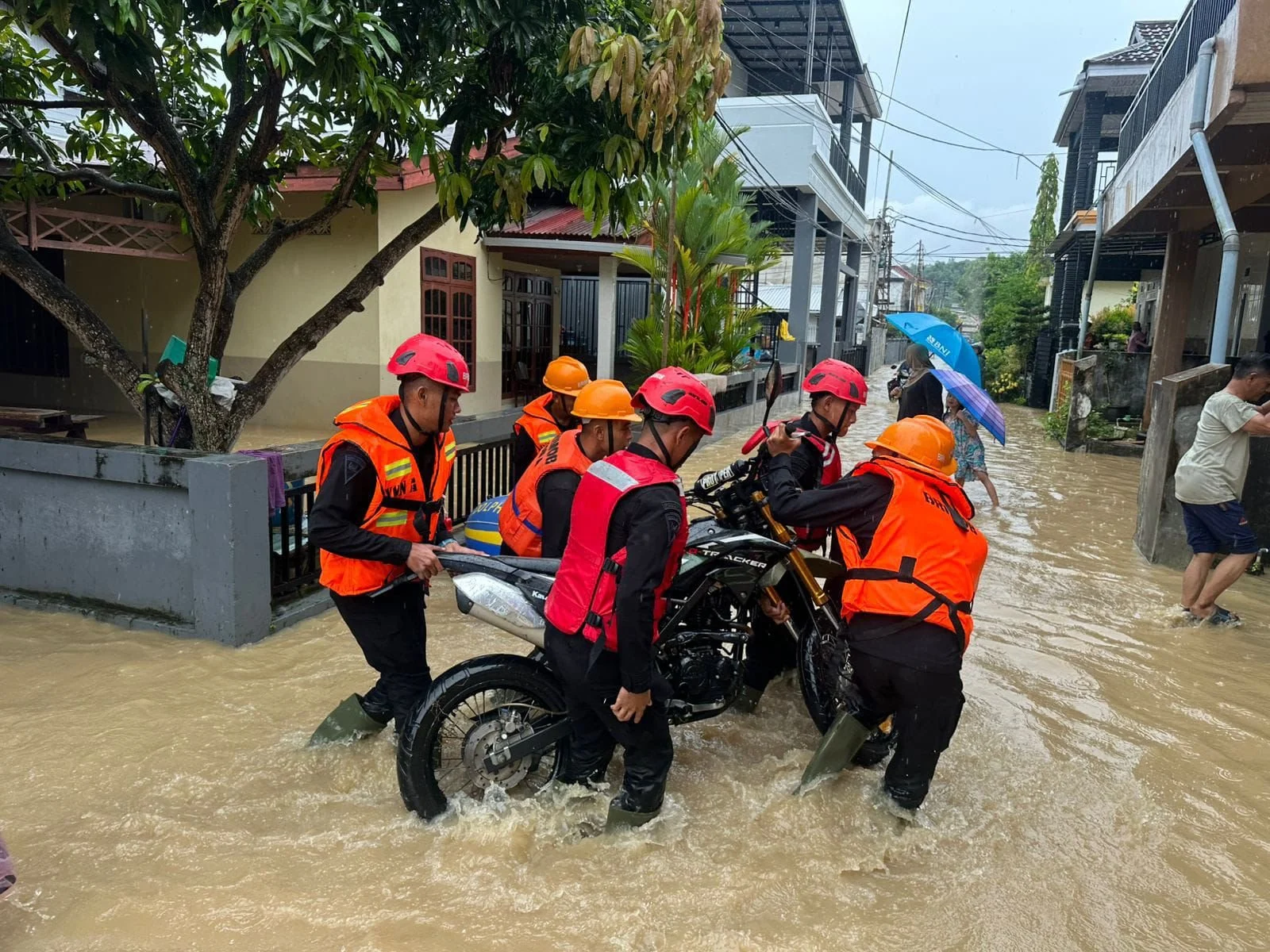 Kaltim Menghadapi Curah Hujan Tinggi dan Berbagai Kasus Unik