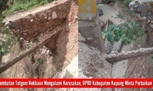 Kerusakan Jembatan di Kupang dan Dampaknya terhadap Masyarakat