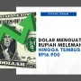 Kurs Dolar AS Menguat, Rupiah Melemah: Apa yang Terjadi dengan Perekonomian Indonesia?