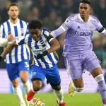 Leeds vs Brighton: Pertarungan Sengit di Liga Premier Inggris
