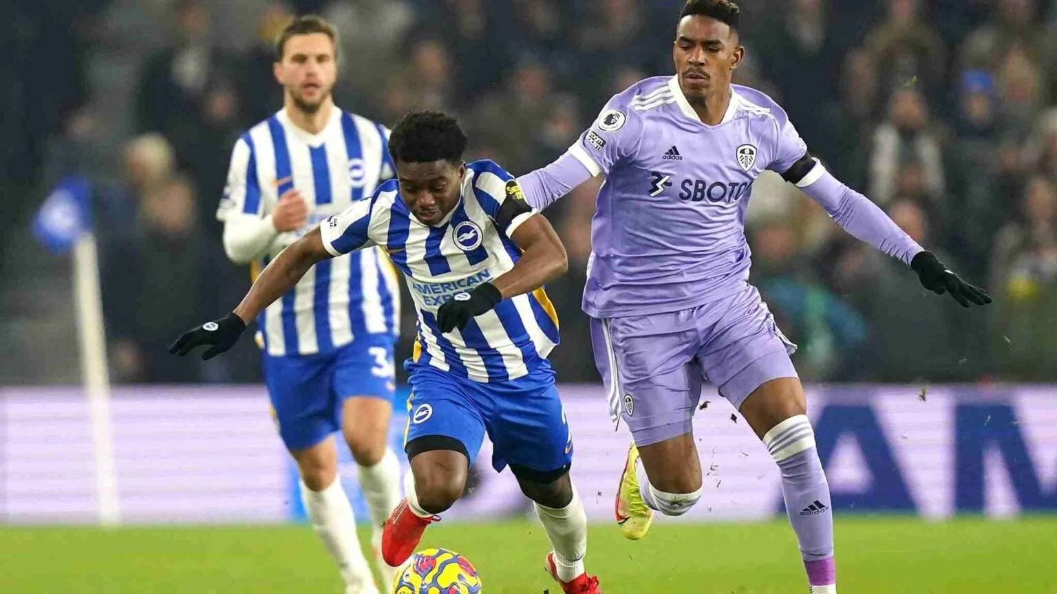 Leeds vs Brighton: Pertarungan Sengit di Liga Premier Inggris