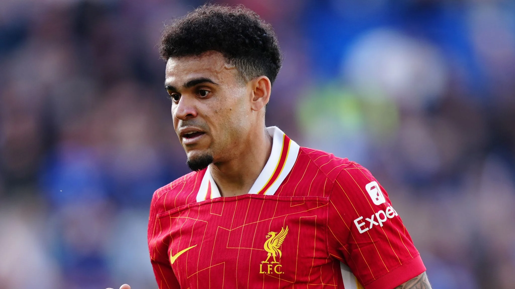 Luis Diaz Mengguncang Bayern: Mengapa Keputusan Liverpool Melepasnya Jadi Kontroversi Besar