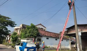 Mati Lampu Massal di Jambi, Sumsel, dan Bengkulu: Penyebab dan Dampaknya