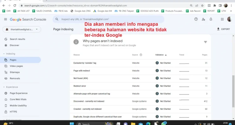 Mengapa Semua Orang Mencari 'Disregard' di Google? Ini Mengapa Hal Ini Merusak Google
