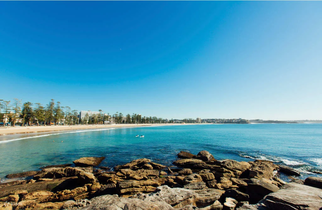 Mengunjungi Pantai-Pantai Indah di Sydney dan Menikmati Keindahan Alam Australia