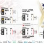 MPL ID S17: Playoff Dimulai 10 Juni, Hadiah Turnamen Mobile Legends MSC di EWC 2026 Paris Tembus 11 Kali Lipat