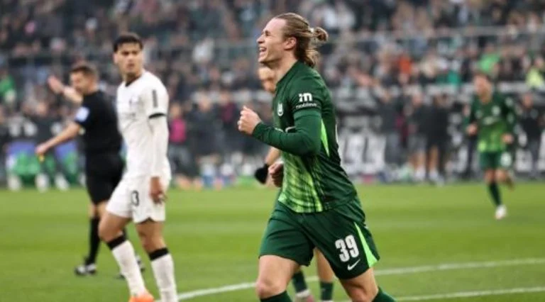 Paderborn Raih Kemenangan Dramatis, Wolfsburg Degradasi ke Liga Dua