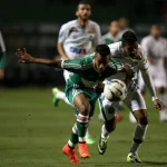 Palmeiras Siap Menghadapi Chapecoense di Serie A