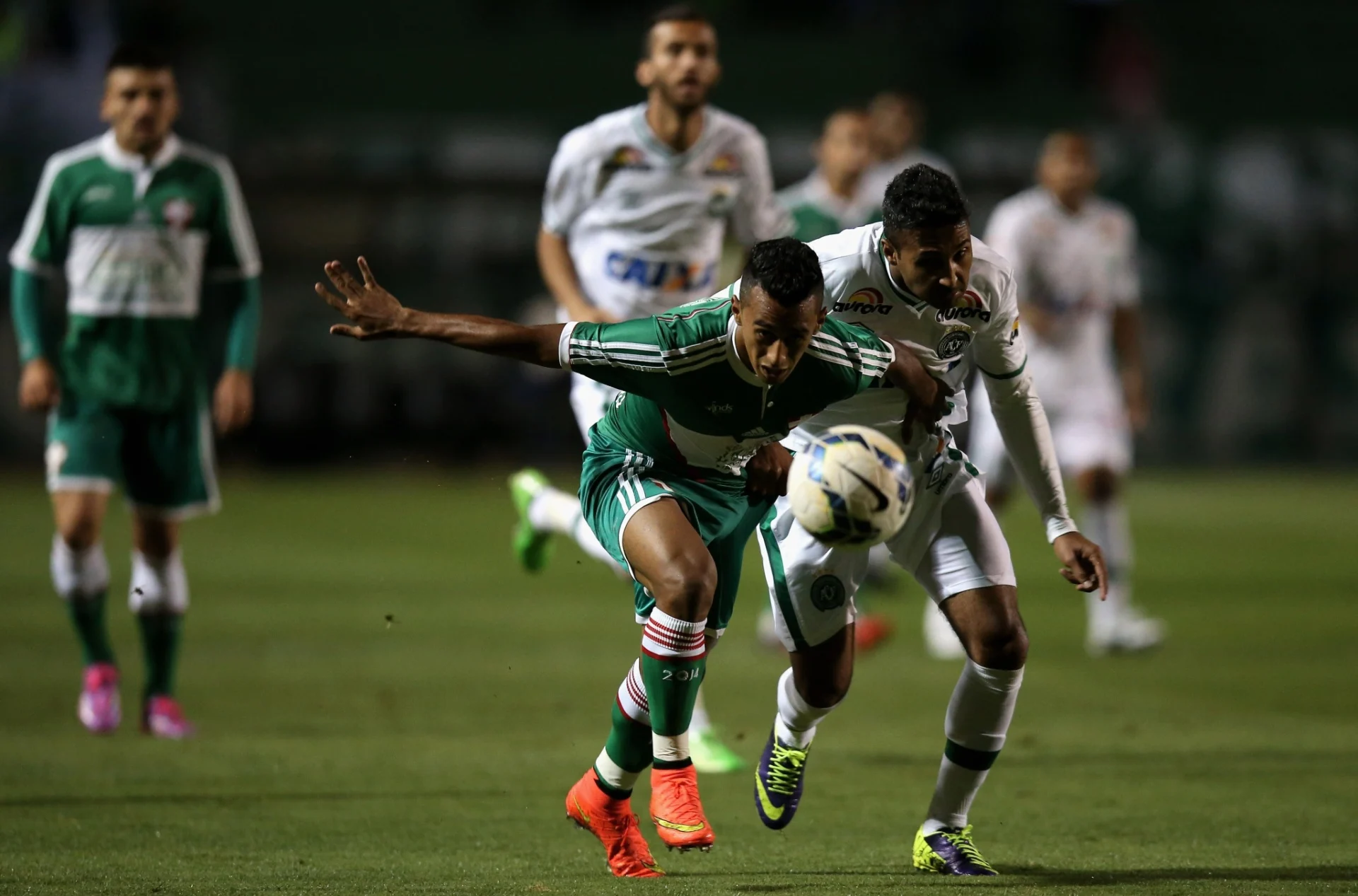 Palmeiras Siap Menghadapi Chapecoense di Serie A