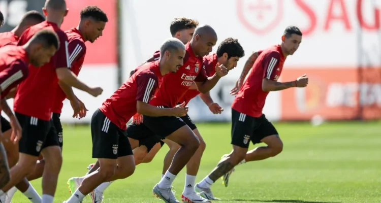 Pau Víctor dan Benfica: Pertarungan Sengit di Liga Portugal