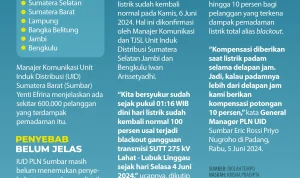 Pemadaman Listrik di Sumatera: Penyebab dan Dampaknya