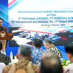 Pemerintah Mulai Pengembangan CNG sebagai Alternatif LPG