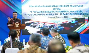 Pemerintah Mulai Pengembangan CNG sebagai Alternatif LPG