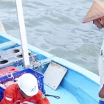 Pertamina Buka Suara Soal Kapal Nelayan Tak Melaut Imbas Kenaikan Harga Solar