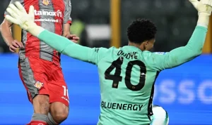 Pertarungan Sengit Udinese vs Cremonese: Maduka Okoye Raih Penghargaan