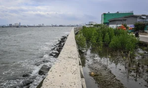 Pesisir Pantura Karawang Masuk Proyek Pembangunan Tanggul Laut Raksasa