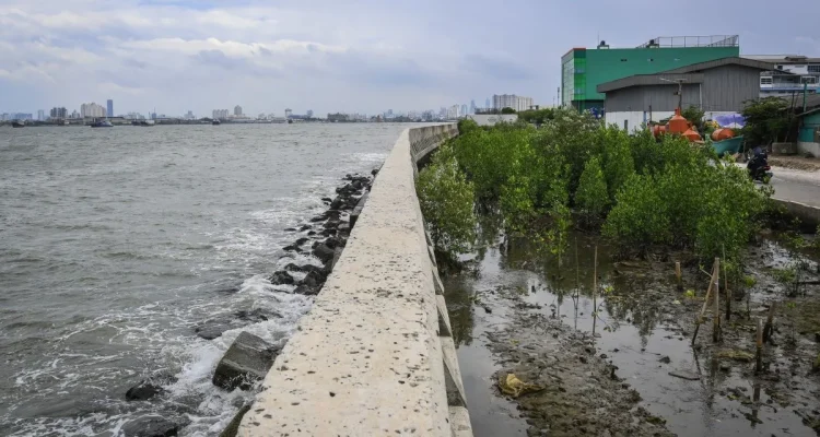 Pesisir Pantura Karawang Masuk Proyek Pembangunan Tanggul Laut Raksasa