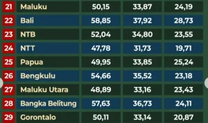 Rerata Nilai TKA SD SMP 2026: Literasi Lebih Unggul dari Numerasi