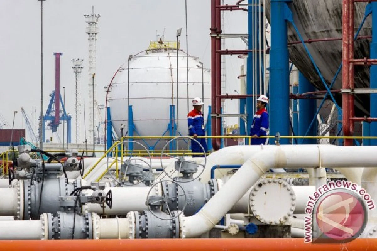 RI Siapkan Impor LPG Rusia, Langkah Strategis Memperkuat Ketahanan Energi Nasional