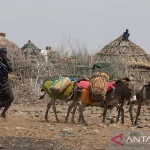 Somalia Menghadapi Ancaman Kelaparan, Apa yang Bisa Dilakukan?