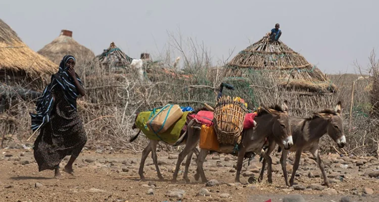 Somalia Menghadapi Ancaman Kelaparan, Apa yang Bisa Dilakukan?
