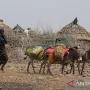 Somalia Menghadapi Ancaman Kelaparan, Apa yang Bisa Dilakukan?