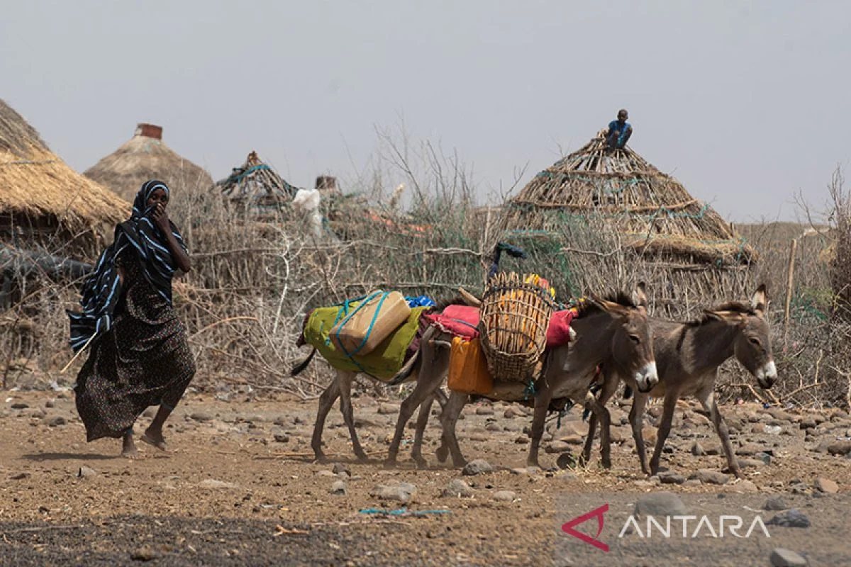 Somalia Menghadapi Ancaman Kelaparan, Apa yang Bisa Dilakukan?