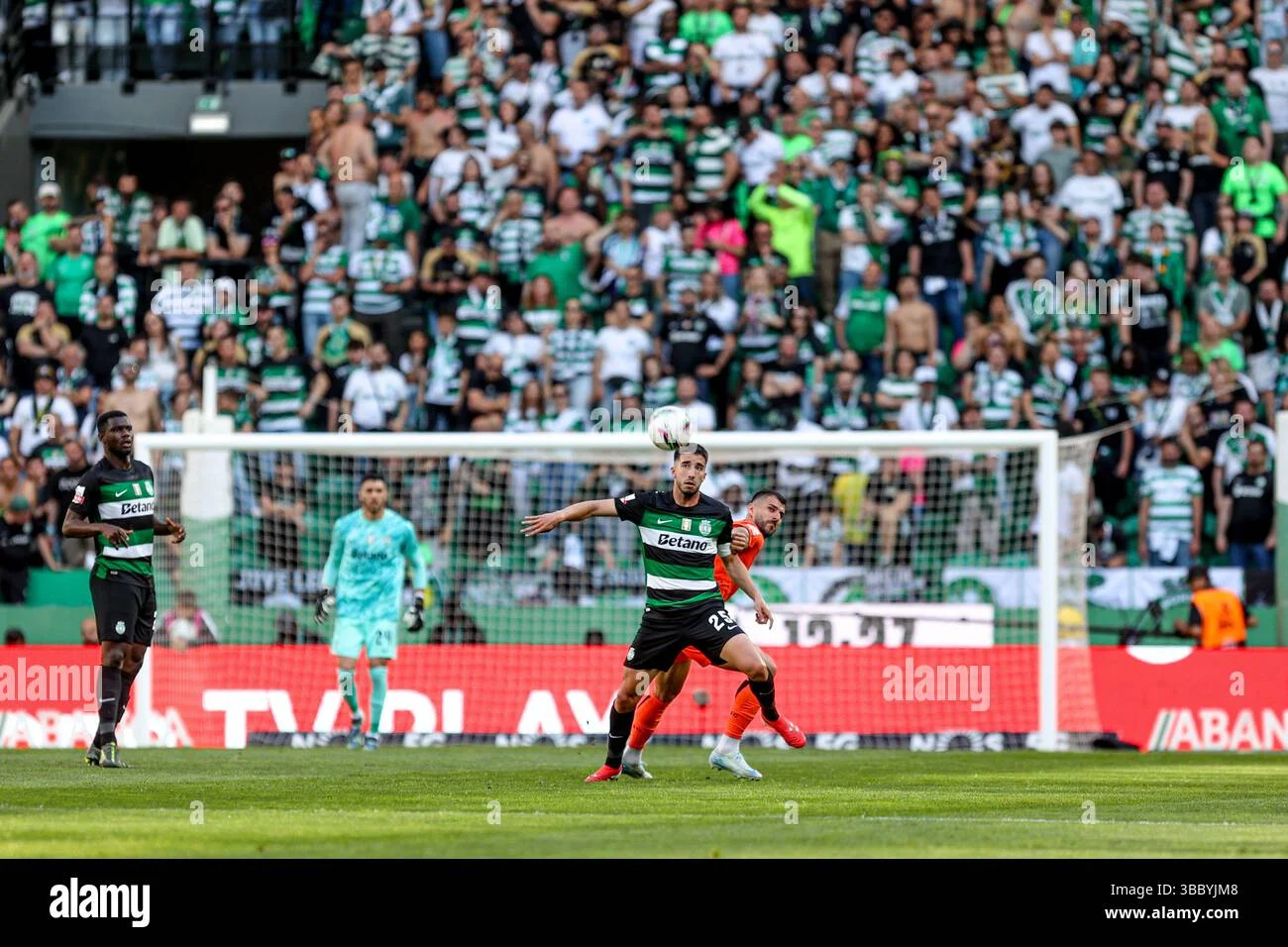 Sporting vs Vitória SC: Persaingan Sengit di Liga Portugal