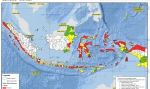 Tsunami di Alaska dan Risiko Bencana di Indonesia