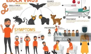 Wabah Ebola Kembali Muncul: Gejala, Penularan, dan Upaya Pencegahan