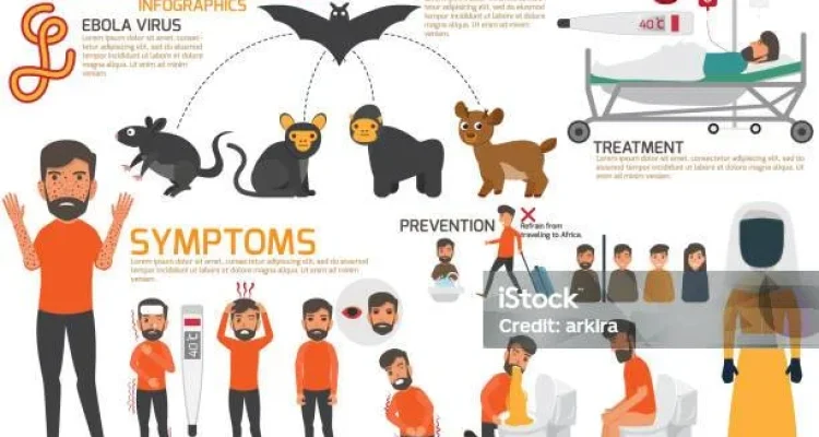 Wabah Ebola Kembali Muncul: Gejala, Penularan, dan Upaya Pencegahan