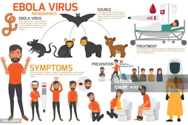 Wabah Ebola Kembali Muncul: Gejala, Penularan, dan Upaya Pencegahan