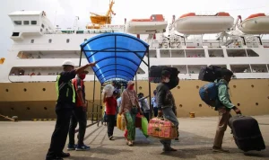 Wabah Hantavirus di Kapal MV Hondius Menewaskan Tiga Penumpang, WHO Selidiki Penularan Antar Manusia