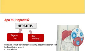 WHO Ungkap Penurunan hepatitis global, Namun Akses Pengobatan Masih Jadi Tantangan Besar